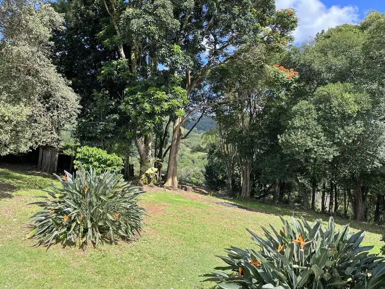 Third view of Homely rural property listing, 87 Maleny Kenilworth Road, Maleny QLD 4552