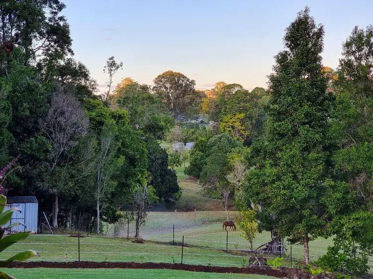 104D Thrushs Road, Dulong QLD 4560