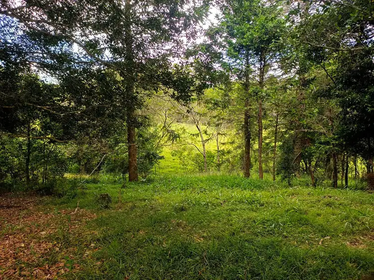 Sixth view of Homely land listing, 104D Thrushs Road, Dulong QLD 4560