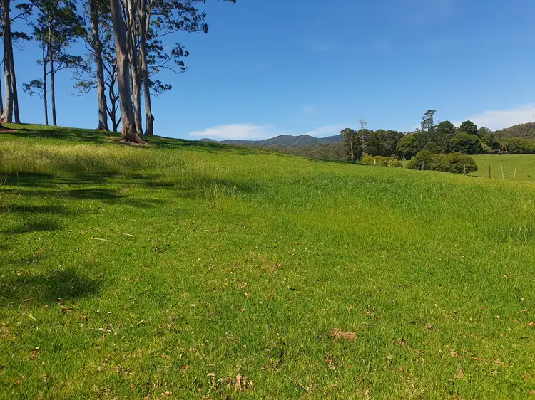 Second view of Homely rural property listing, 2597 Eastern Dorrigo Way, Brooklana, Coffs Harbour NSW 2450