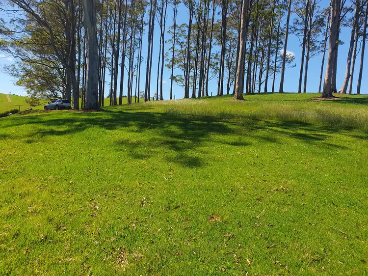Fourth view of Homely rural property listing, 2597 Eastern Dorrigo Way, Brooklana, Coffs Harbour NSW 2450