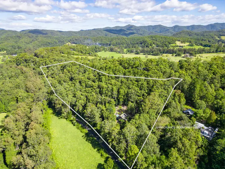 Third view of Homely house listing, 803 Summervilles Rd Thora, Bellingen NSW 2454