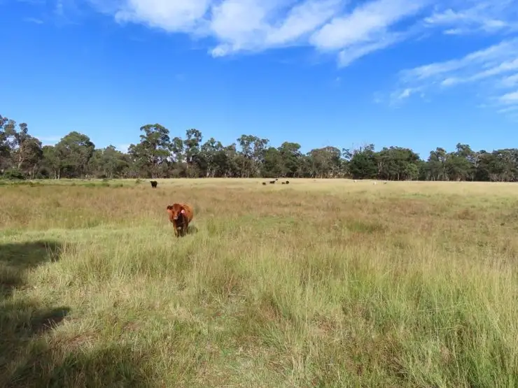 719 Mount Tully Road, Mount Tully QLD 4380