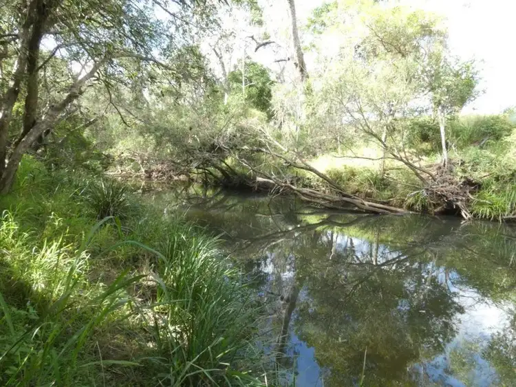 Seventh view of Homely rural property listing, 36 Lloyd Jones Road, Rosedale QLD 4674
