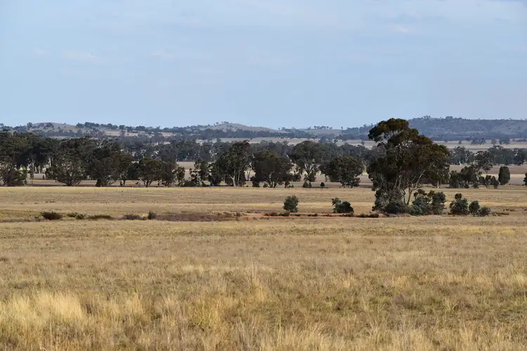Second view of Homely rural property listing, 267 Bell Road, Dunluce VIC 3472