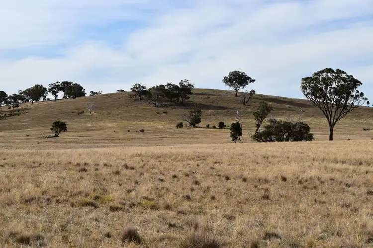 Third view of Homely rural property listing, 267 Bell Road, Dunluce VIC 3472