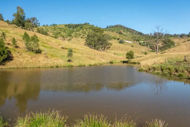 Fifth view of Homely rural property listing, 7748 Oxley Highway, Mount Seaview NSW 2446