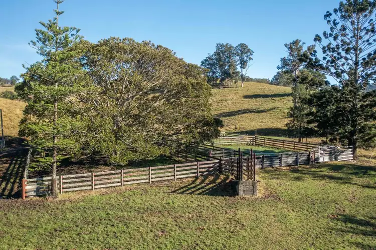 Sixth view of Homely rural property listing, 7748 Oxley Highway, Mount Seaview NSW 2446