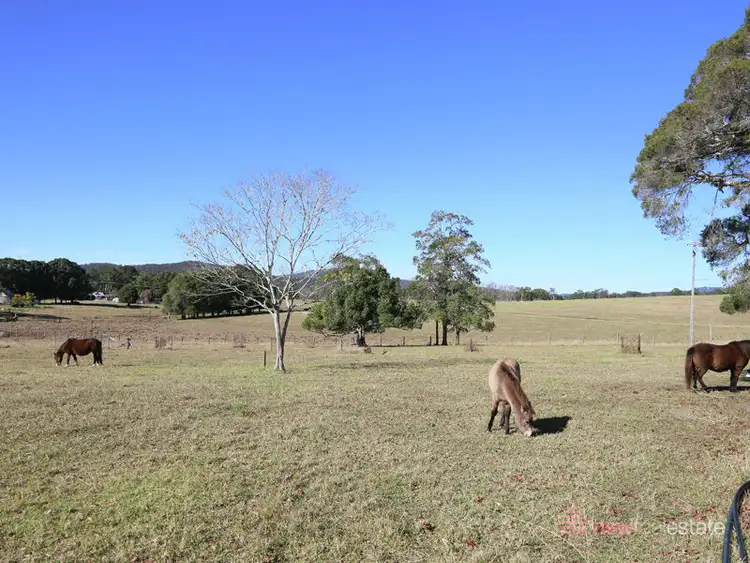 Fourth view of Homely rural property listing, 968 Orara Way, Nana Glen NSW 2450