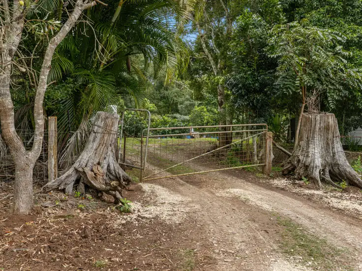 Fourth view of Homely rural property listing, 94 Davis Road, Tyalgum Creek NSW 2484