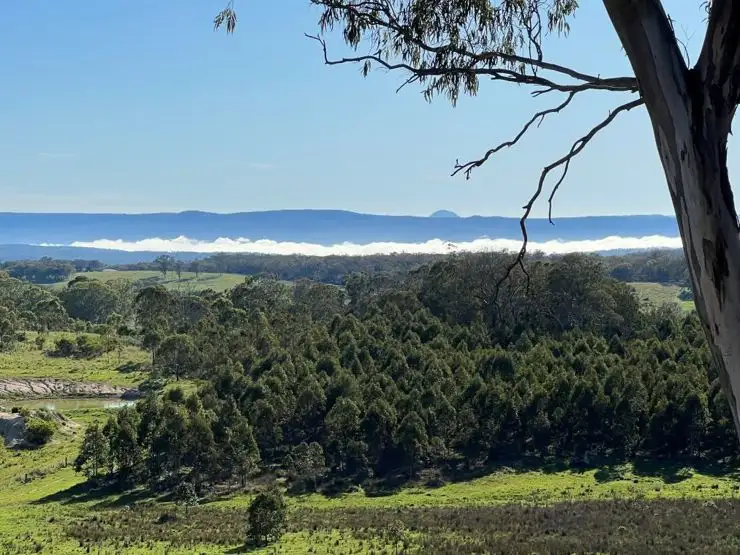 204 Wylie Creek Road, Wylie Creek NSW 2372