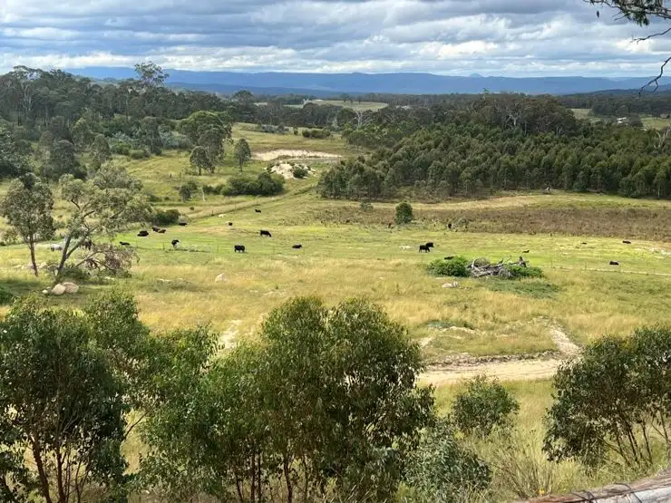 Second view of Homely rural property listing, 204 Wylie Creek Road, Wylie Creek NSW 2372