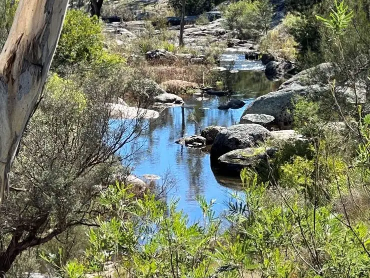 Fourth view of Homely rural property listing, 204 Wylie Creek Road, Wylie Creek NSW 2372