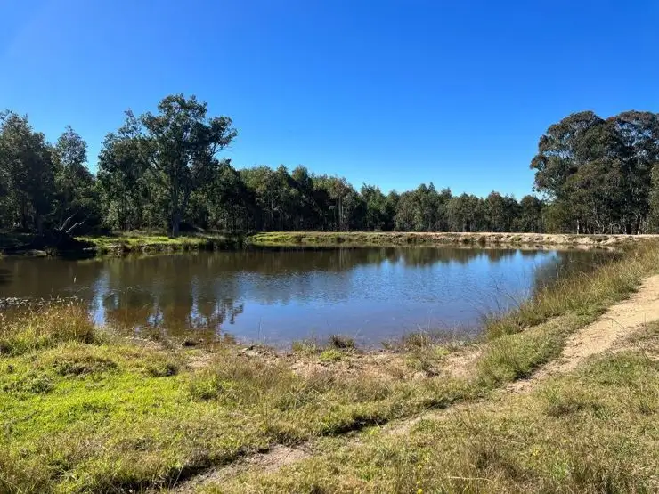 Fifth view of Homely rural property listing, 204 Wylie Creek Road, Wylie Creek NSW 2372