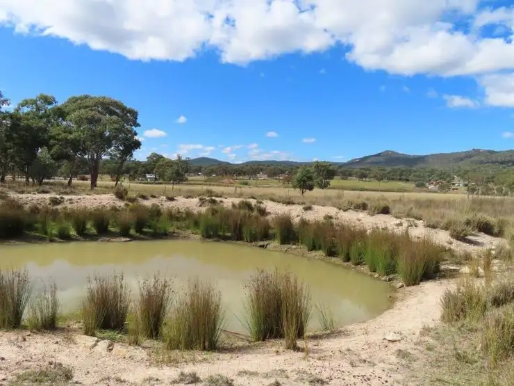 Second view of Homely rural property listing, 312 Kerridges Road, Glen Aplin QLD 4381