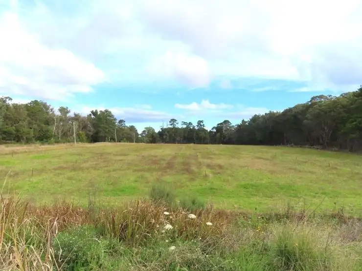 Sixth view of Homely rural property listing, 178 Halloran Drive, Cottonvale QLD 4375