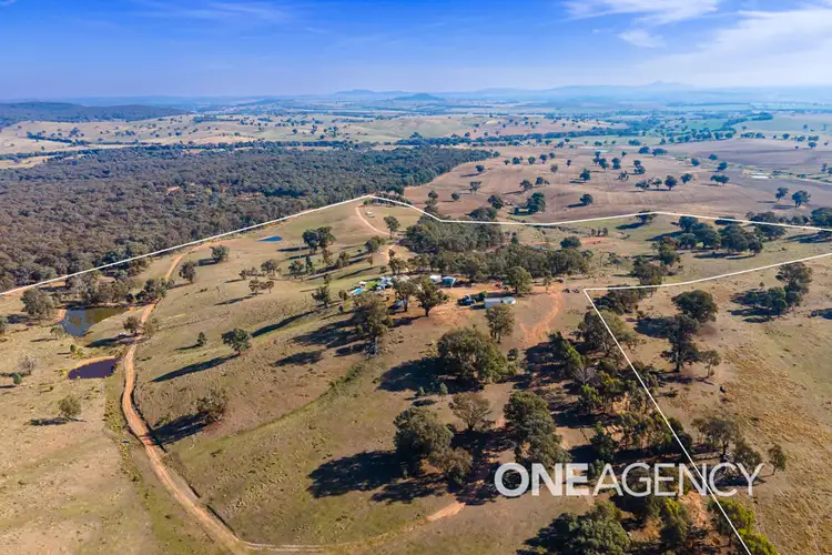 Main view of Homely house listing, 195 BARCOO LANE, Maxwell NSW 2650