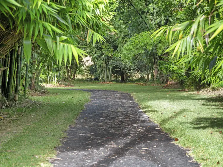 Third view of Homely rural property listing, 210 Fridays Creek Road, Upper Orara NSW 2450