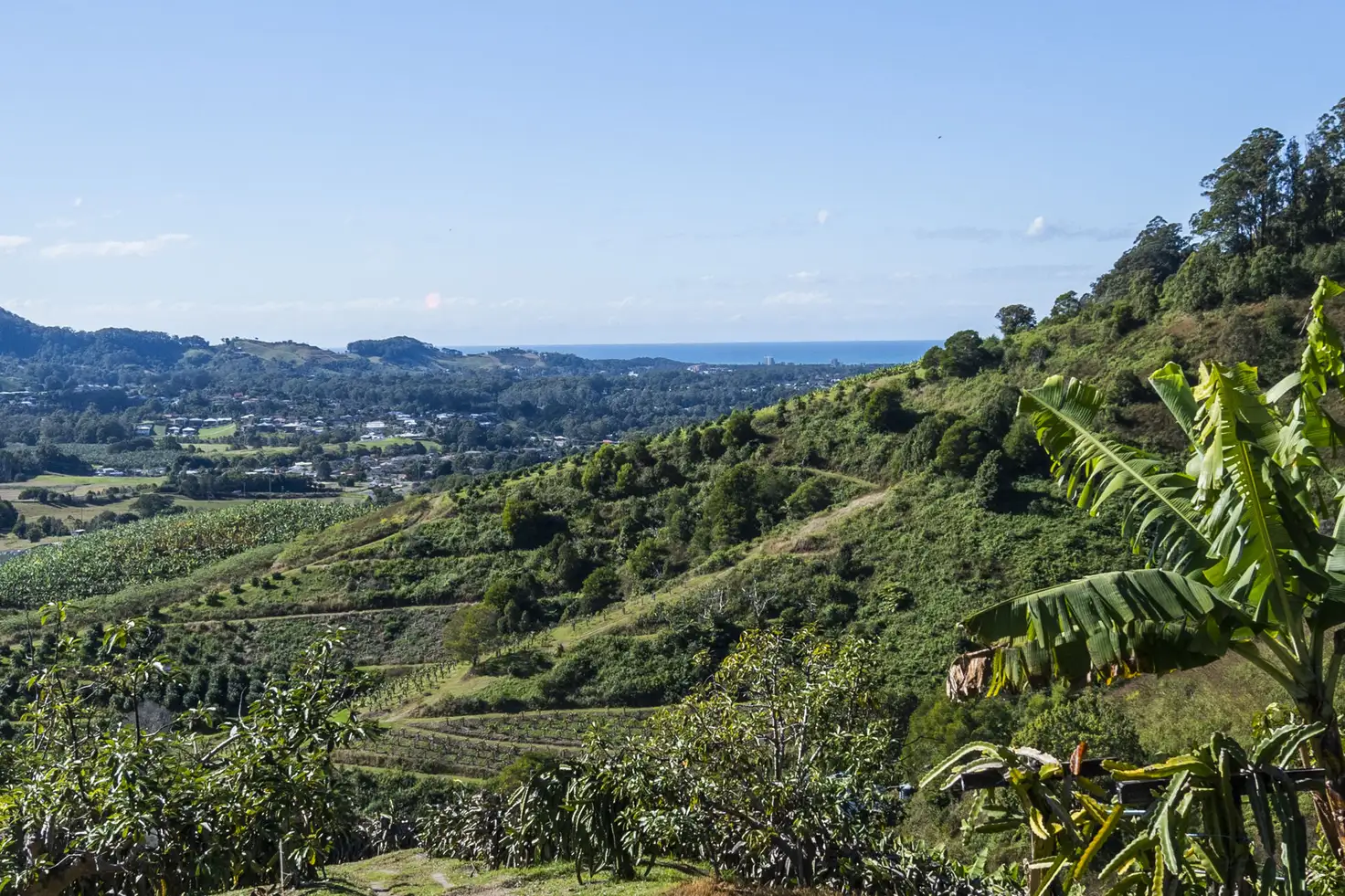 Main view of Homely rural property listing, 115B-115C Bennetts Road Coffs Harbour, Coffs Harbour NSW 2450