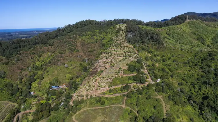 Second view of Homely rural property listing, 115B-115C Bennetts Road Coffs Harbour, Coffs Harbour NSW 2450