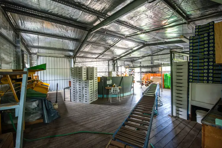 Third view of Homely rural property listing, 115B-115C Bennetts Road Coffs Harbour, Coffs Harbour NSW 2450