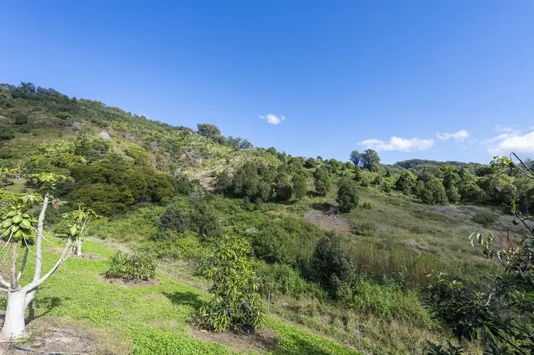 Fifth view of Homely rural property listing, 115B-115C Bennetts Road Coffs Harbour, Coffs Harbour NSW 2450