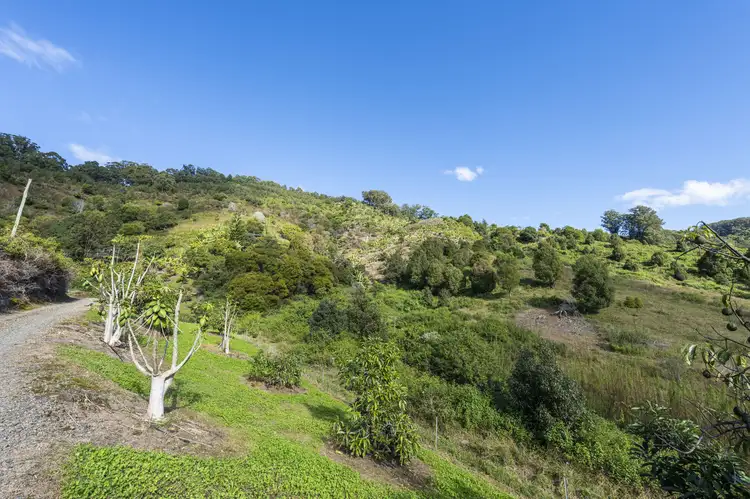 Sixth view of Homely rural property listing, 115B-115C Bennetts Road Coffs Harbour, Coffs Harbour NSW 2450