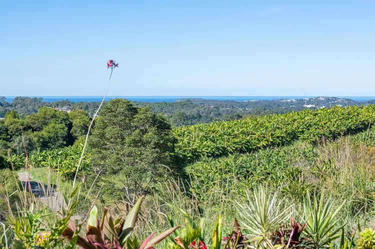 263E Shephards Lane, Coffs Harbour NSW 2450