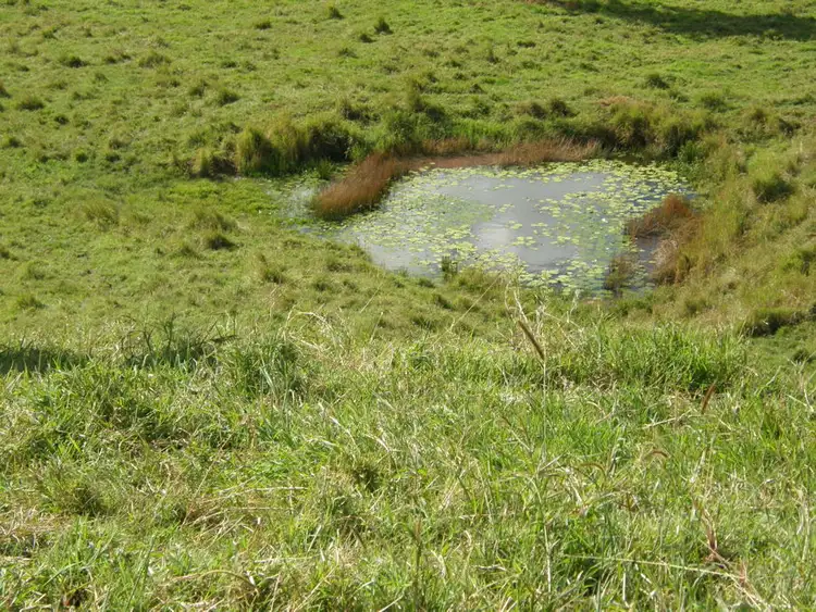 Fourth view of Homely rural property listing, Lot 31 Musavale Road, Eerwah Vale QLD 4562