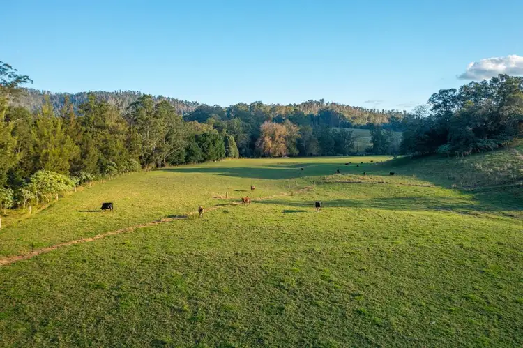 1021 South Arm Road, South Arm NSW 2449