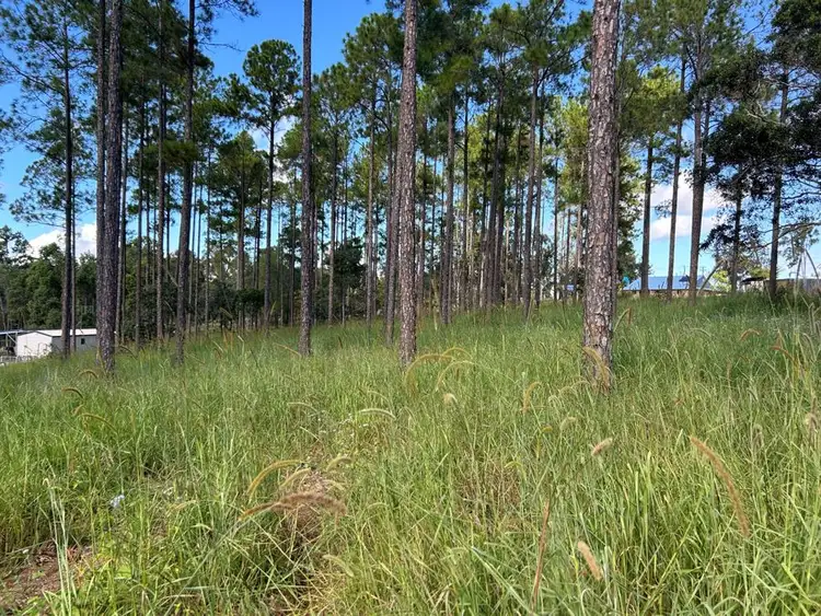 Second view of Homely land listing, Lot 210 Arborthree Road, Glenwood QLD 4570