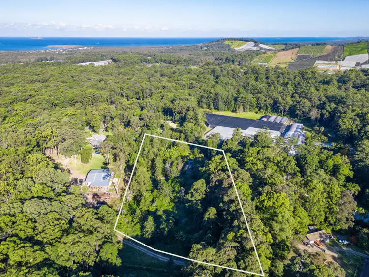 Third view of Homely rural property listing, 110 Morgans Road, Sandy Beach NSW 2456
