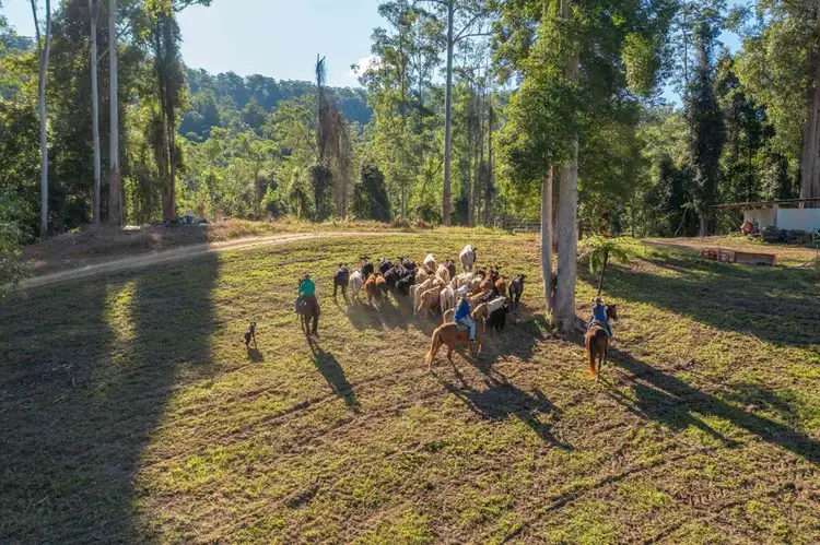Fourth view of Homely rural property listing, 1415 KALANG ROAD, Kalang NSW 2454