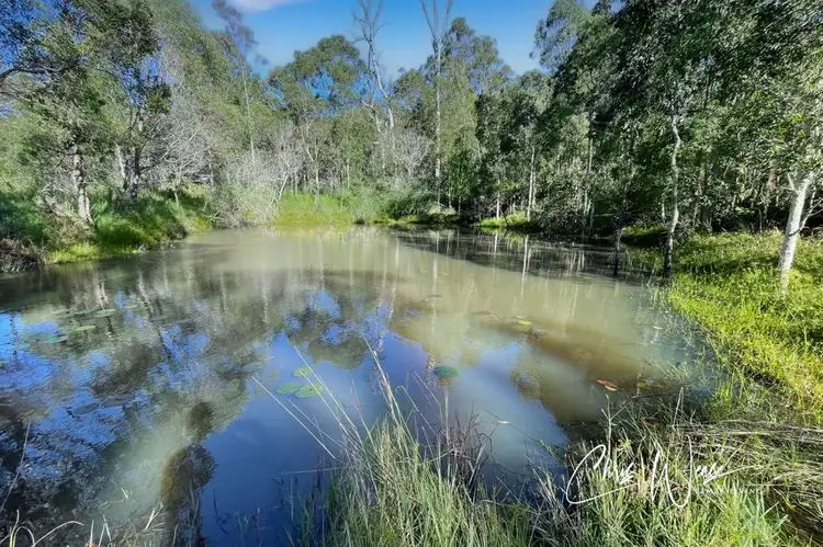 Second view of Homely land listing, 121 Bloodwood Court, Wamuran QLD 4512