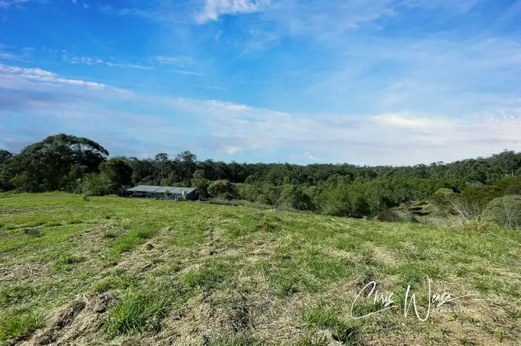Sixth view of Homely land listing, 121 Bloodwood Court, Wamuran QLD 4512