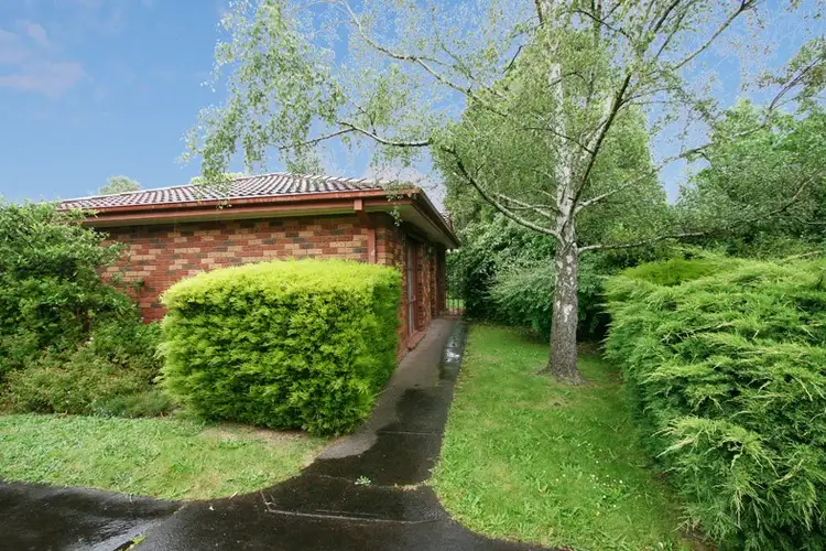 4/300 Springfield Road