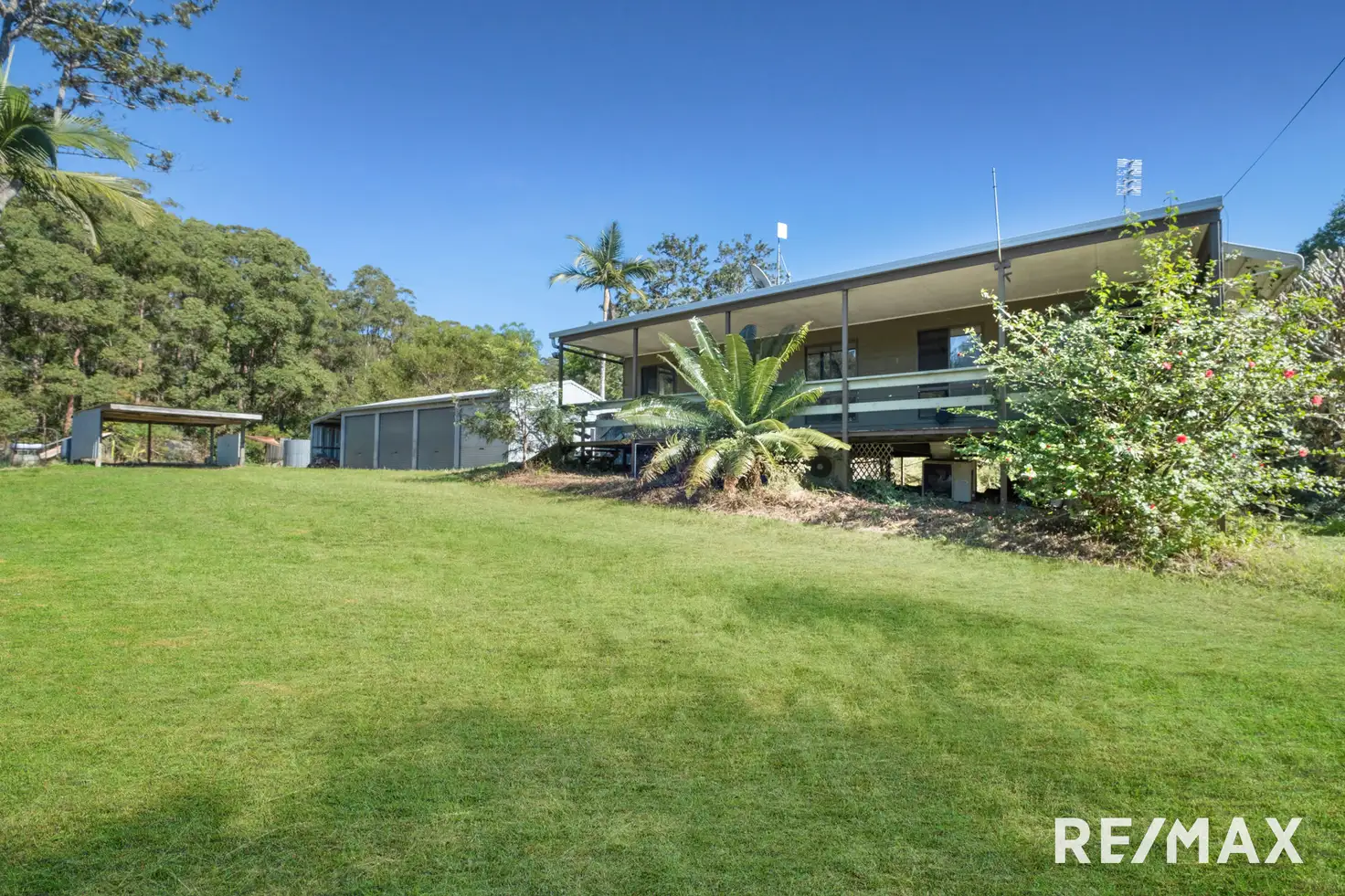 Main view of Homely house listing, 56 Hodgens Road, Bald Knob QLD 4552