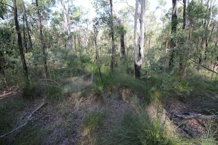 Main view of Homely rural property listing, Lot 33 Cross Road, Euleilah QLD 4674
