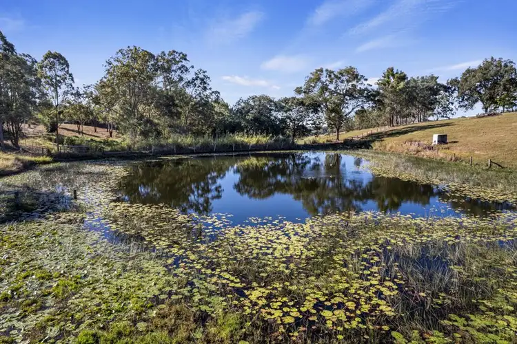 Third view of Homely rural property listing, 275 Diamondfield Road, Amamoor QLD 4570