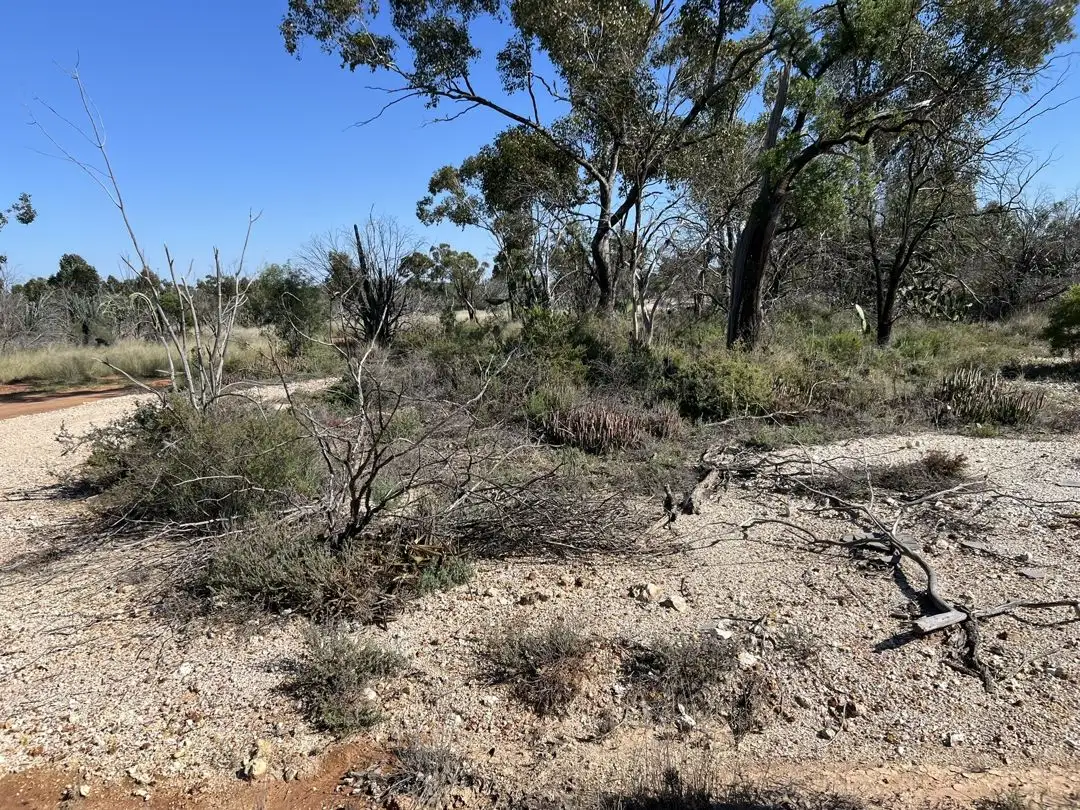 Main view of Homely land listing, WLL14676 Lightning Ridge, Lightning Ridge NSW 2834