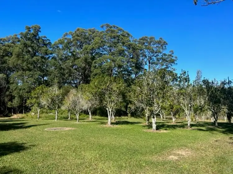 Fourth view of Homely rural property listing, 132 Stuarts Point, Barraganyatti NSW 2441