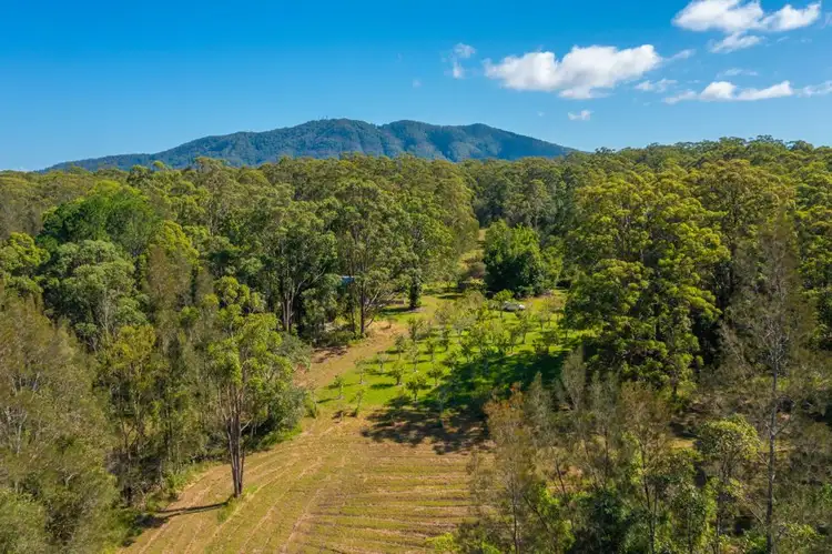 Seventh view of Homely rural property listing, 132 Stuarts Point, Barraganyatti NSW 2441