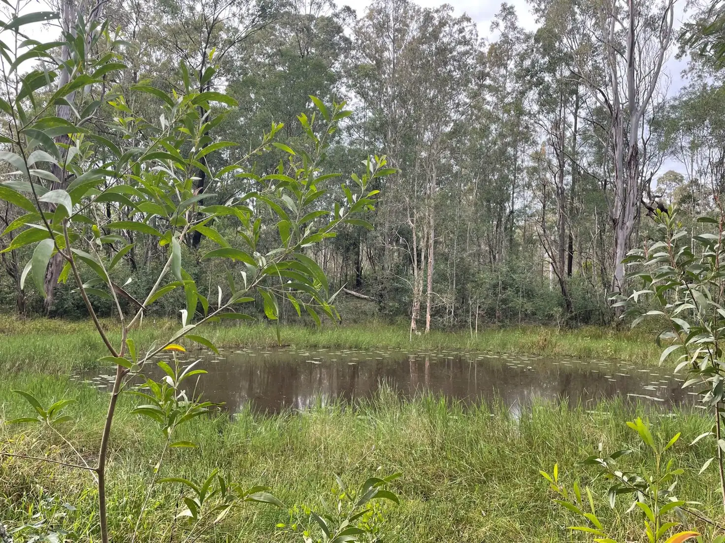 Main view of Homely rural property listing, Lot 123 Tedesco Road, New Italy NSW 2472