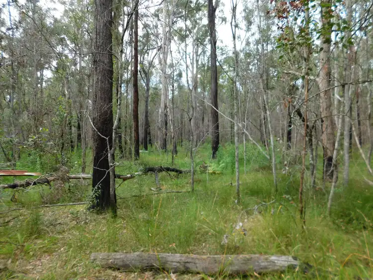 Third view of Homely rural property listing, Lot 123 Tedesco Road, New Italy NSW 2472