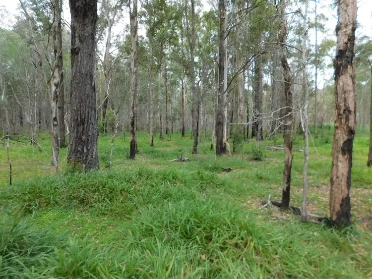Fifth view of Homely rural property listing, Lot 123 Tedesco Road, New Italy NSW 2472