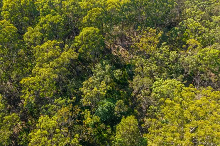 Third view of Homely rural property listing, 74 Lukes Lane, Barraganyatti NSW 2441