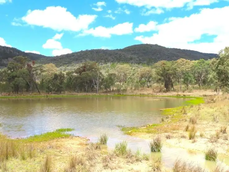 Seventh view of Homely land listing, Lot 11 Saxby Road, Ballandean QLD 4382