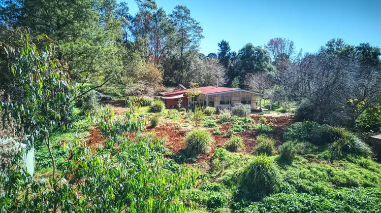 Fourth view of Homely house listing, 11-13 Cypress Street, Dorrigo NSW 2453