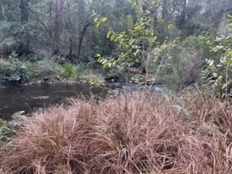 Fifth view of Homely land listing, Lot 53 8414 Oxley Highway, Mount Seaview NSW 2446