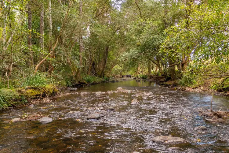 Sixth view of Homely land listing, Lot 53 8414 Oxley Highway, Mount Seaview NSW 2446